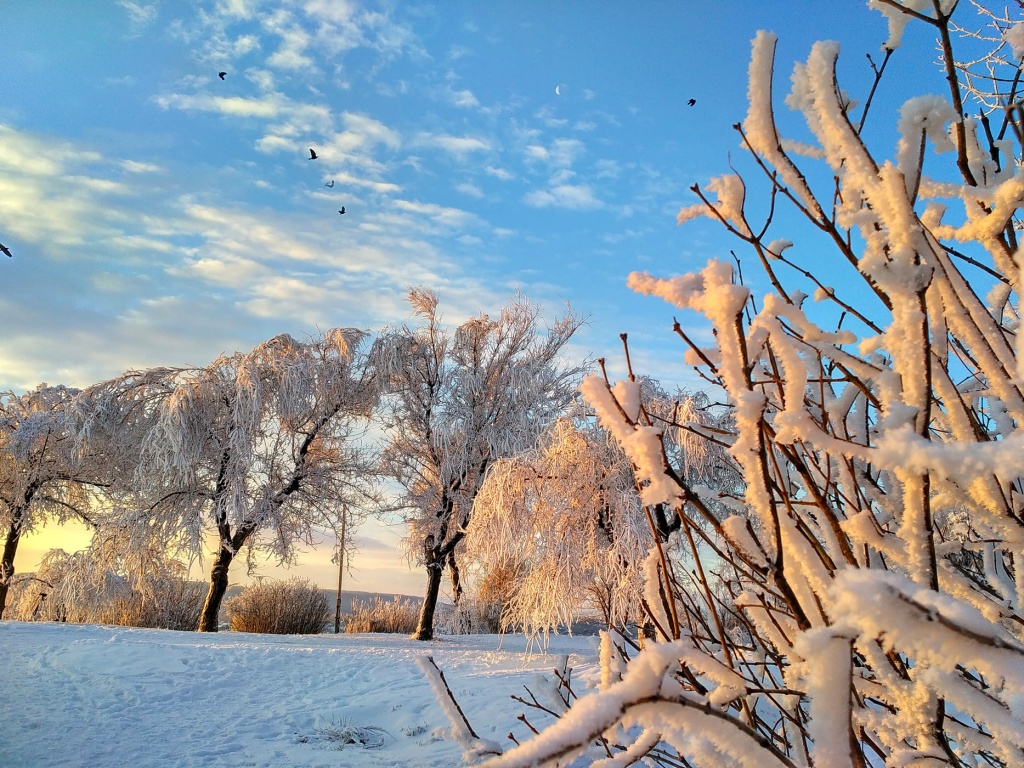 Пятигорск Достопримечательности Фото Зимой